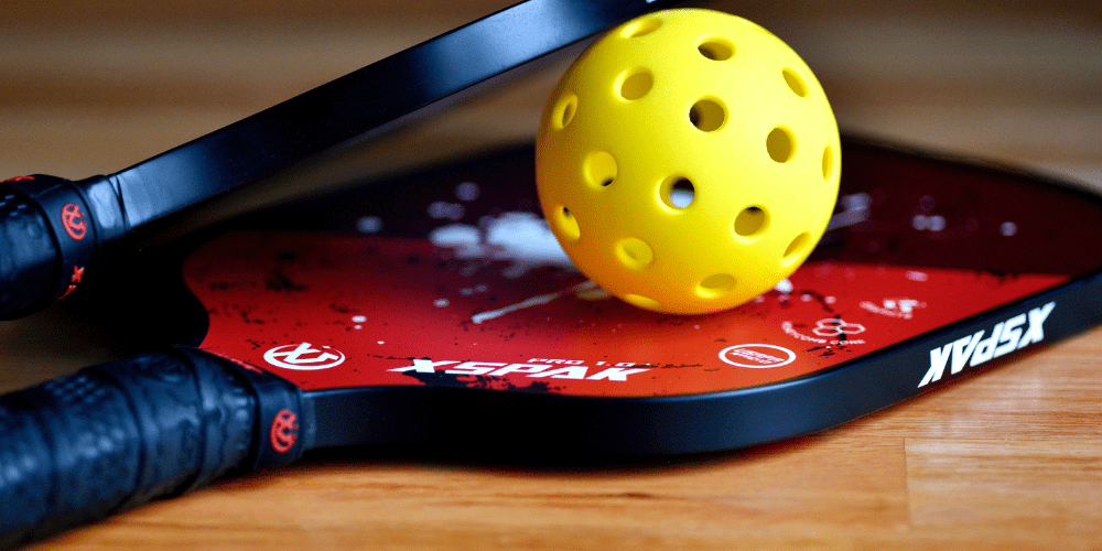 Is a portable pickleball court worthy, and is it fun for kids?